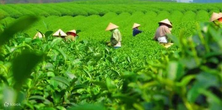 Cô giáo mầm non và hành trình 