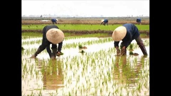 Nội dung: Trong mùa hè nóng bỏng, xu hướng 
