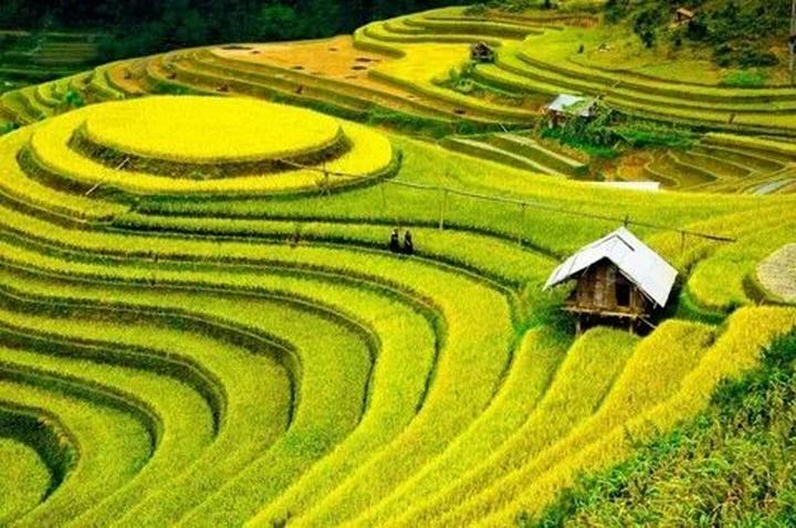 Xu hướng Sốc: Vụ tố 