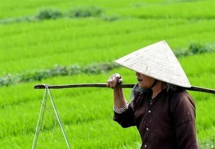 Trong thời đại hiện đại, xu hướng về thể thao và sức khỏe đang ngày càng trở