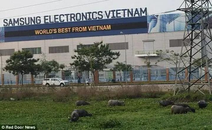 Hotspot Matrix và Thích mê Lào, Campuchia, nhưng chỉ khi đến Việt Nam khách Tây mới được